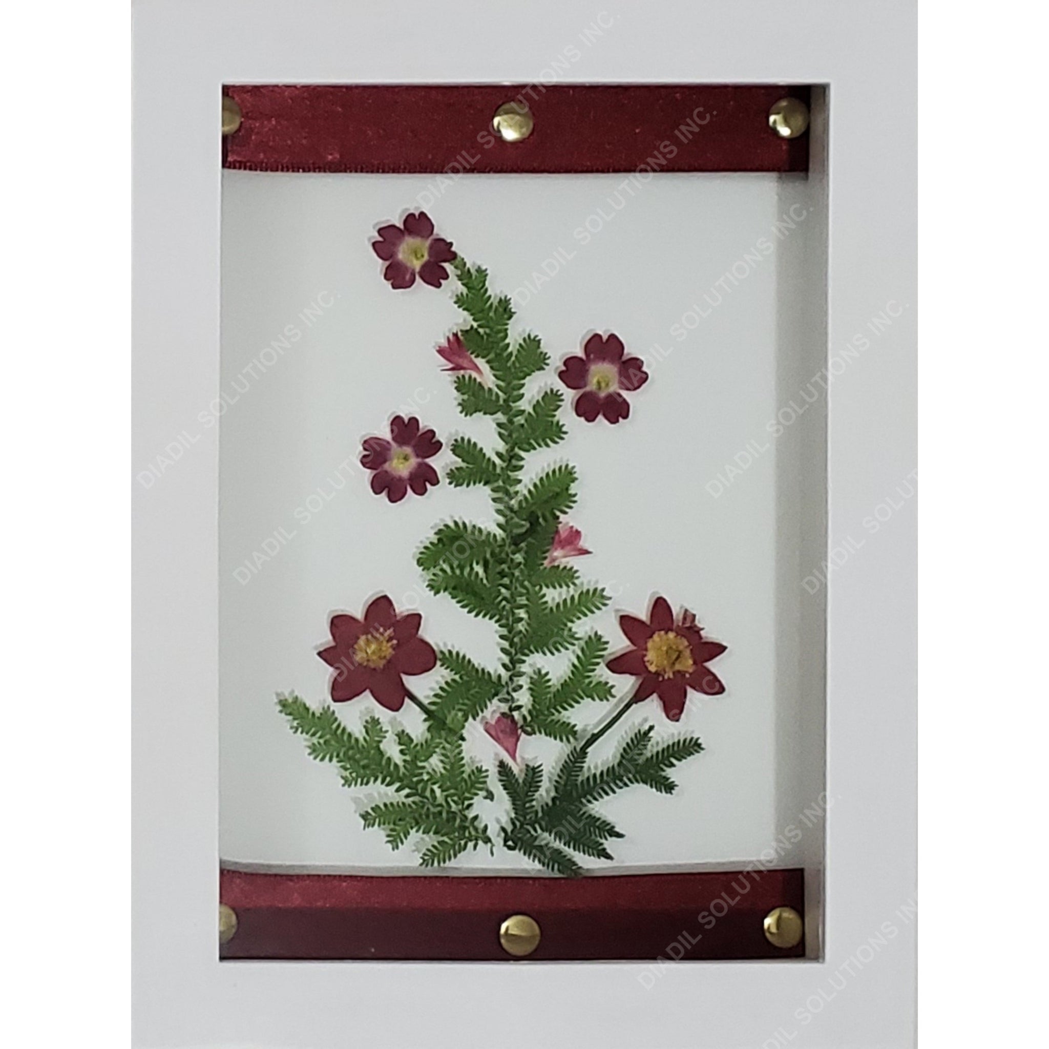 Fern and flower herbarium on frame, Botanical art, Wall decor, Pressed flower art, Dried plant art framed