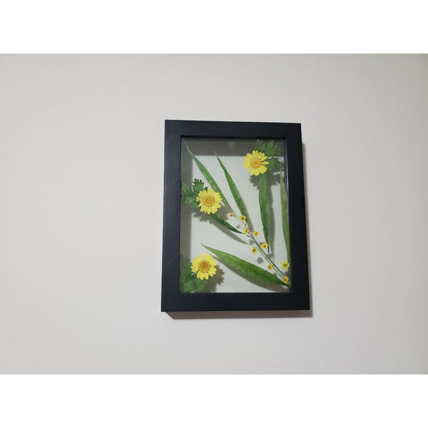 Yellow flower herbarium on frame