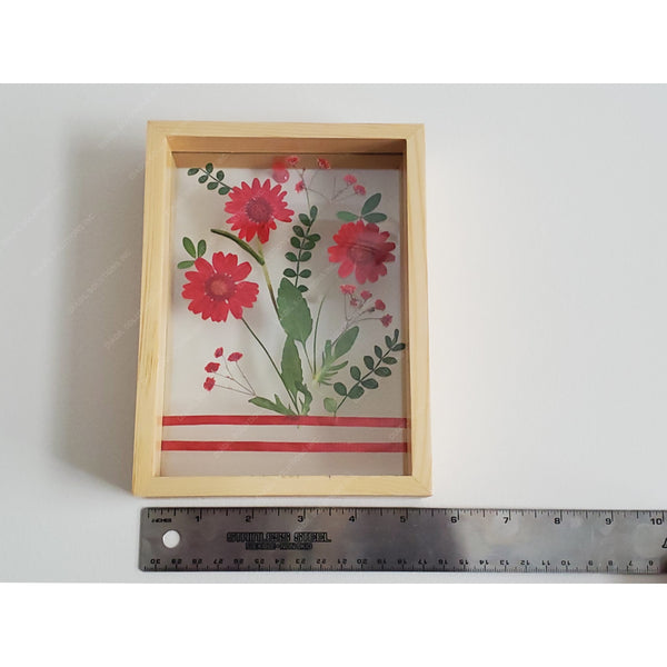 Red Pressed Flower, Herbarium on dual glass frame, Botanical art, Wall decor, Desk Accessories, Pressed/dried flower and leaf art