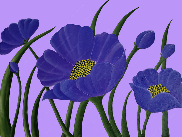Attractive Violet flower print