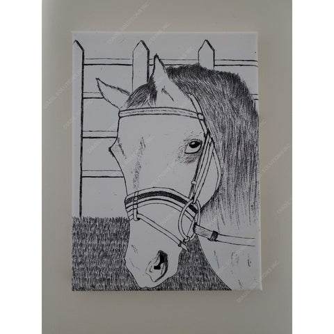 The staring horse on Canvas Frame